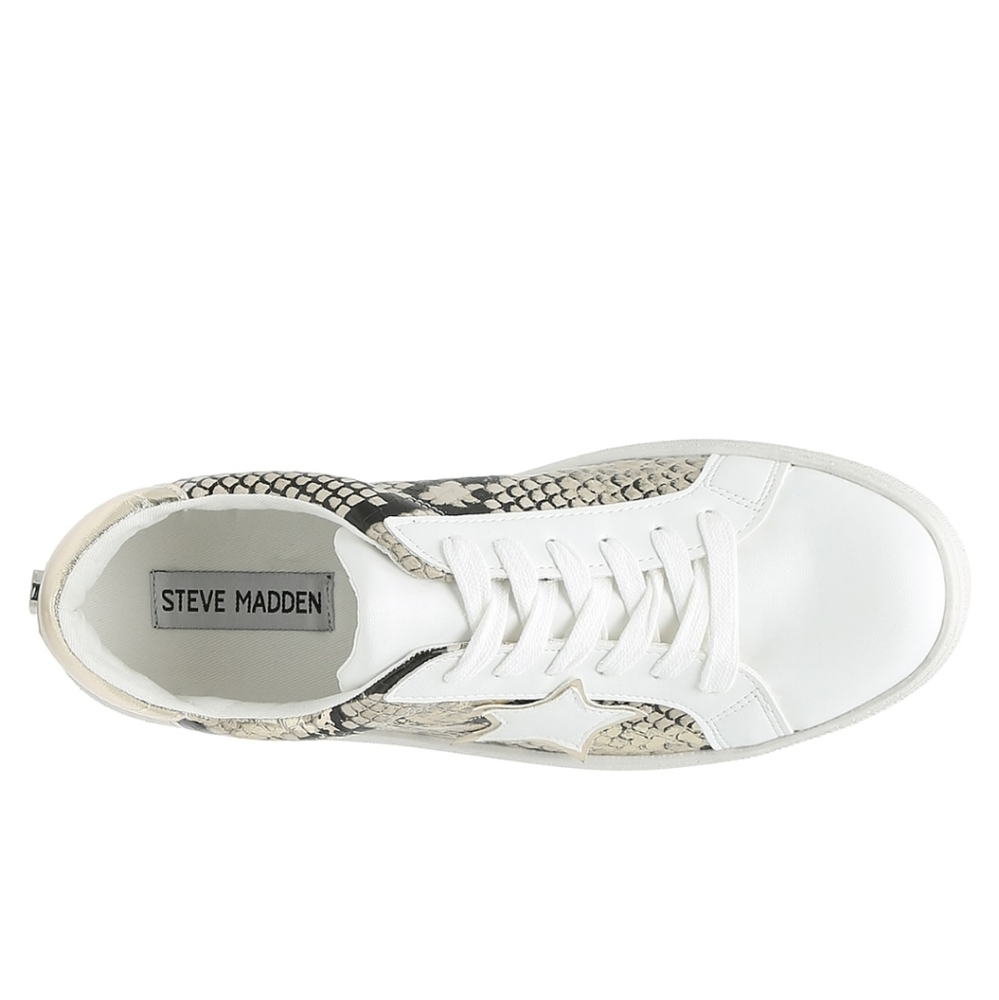 STEVE MADDEN Snakeprint Star Sneakers NIB - Picture 8 of 8
